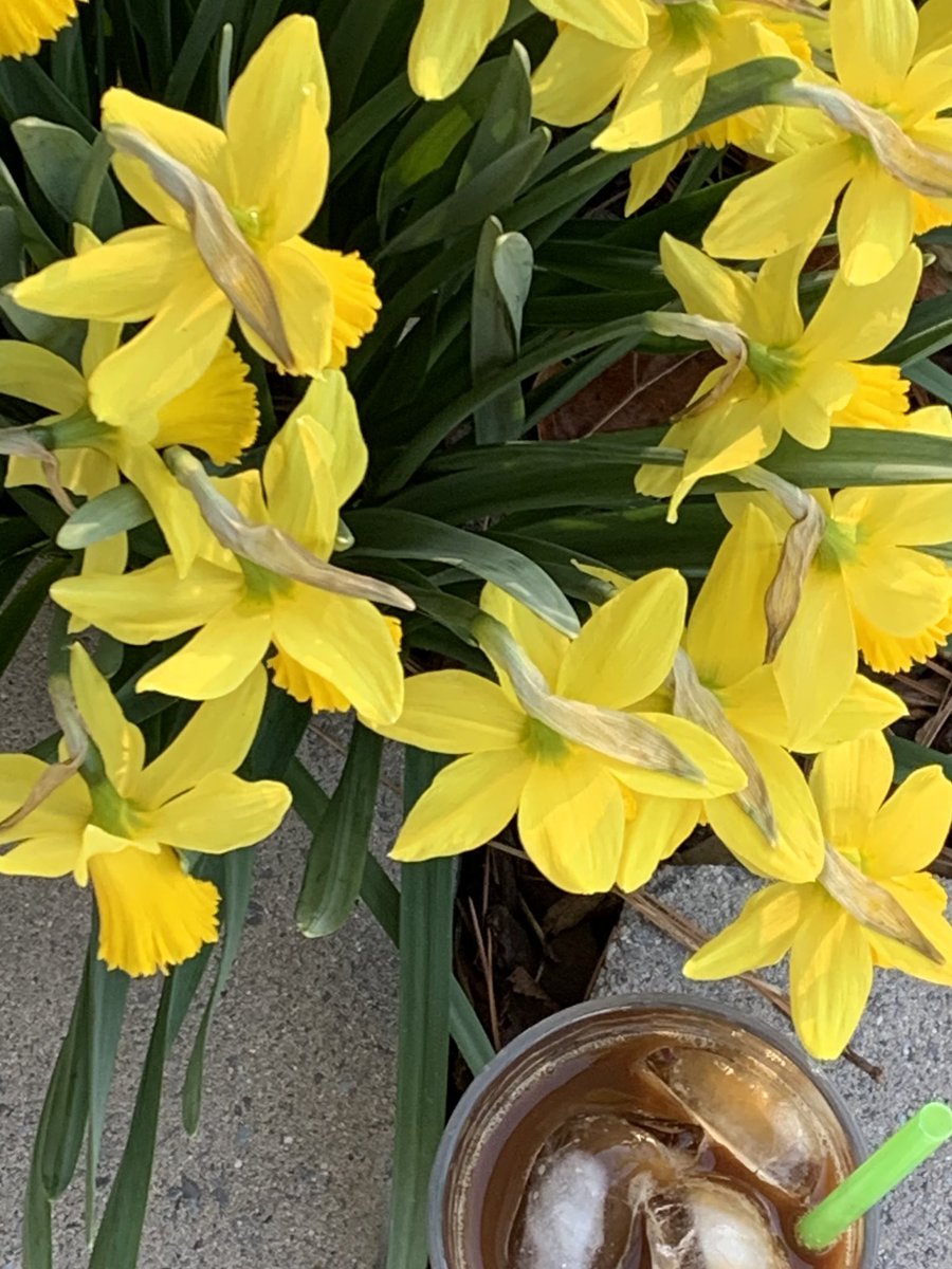 SipsandStuff's tweet image. #HelloMarch and have a #blessed #Sunday!