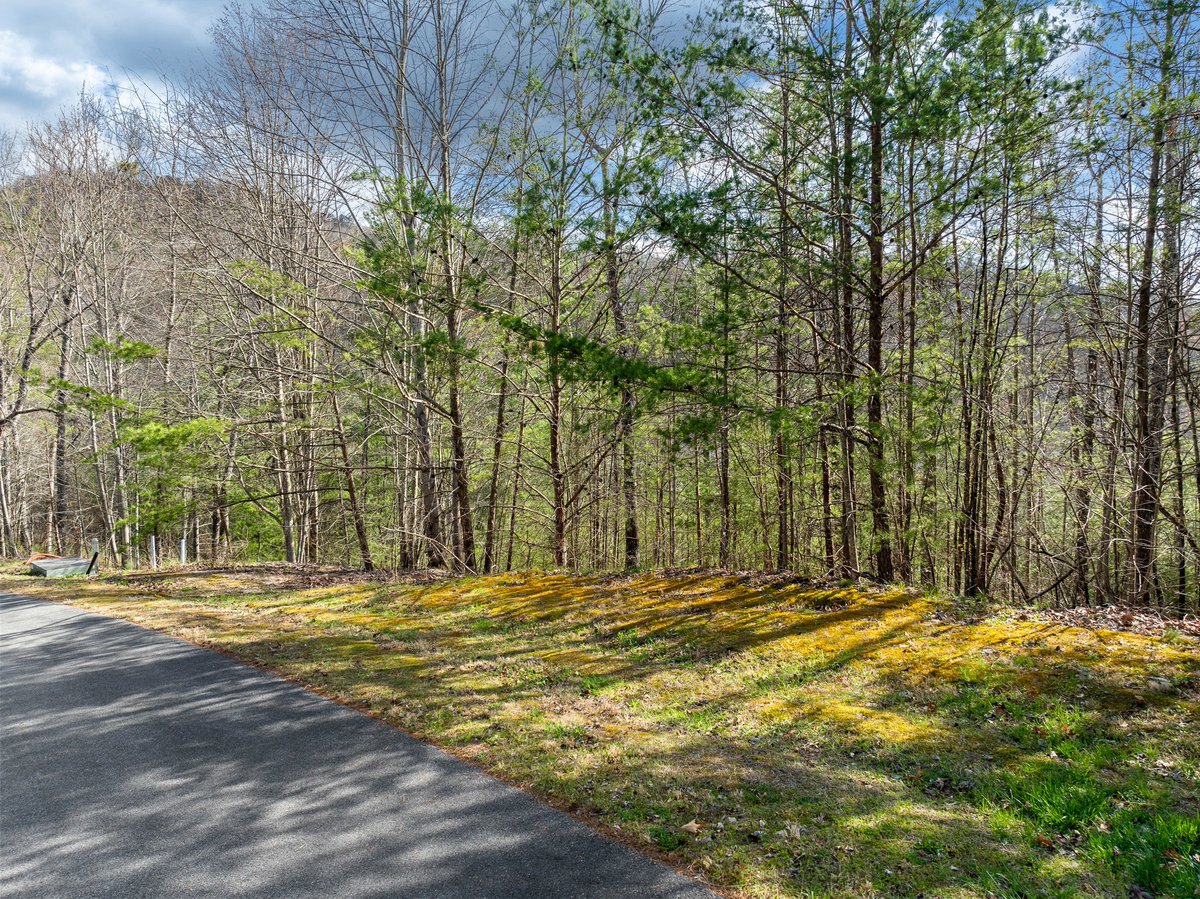 RyanColemanCEO's tweet image. 🔥 𝐅𝐄𝐀𝐓𝐔𝐑𝐄𝐃 𝐋𝐈𝐒𝐓𝐈𝐍𝐆 🔥
📍𝟐𝟐𝟕 𝐁𝐥𝐚𝐜𝐤 𝐏𝐨𝐰𝐝𝐞𝐫 𝐂𝐨𝐮𝐫𝐭, 𝐖𝐚𝐥𝐥𝐚𝐧𝐝, 𝐓𝐍 𝟑𝟕𝟖𝟖𝟔
🏞️ 𝟏.𝟓𝟏 𝐀𝐜𝐫𝐞𝐬
💰$𝟗𝟗,𝟗𝟎𝟎

📸 ryancoleman.org/227-black-powd…
📱 865-693-SOLD (7653) 

#FeaturedListing #MountainViews #KnoxvilleRealEstate  #HometownRealty