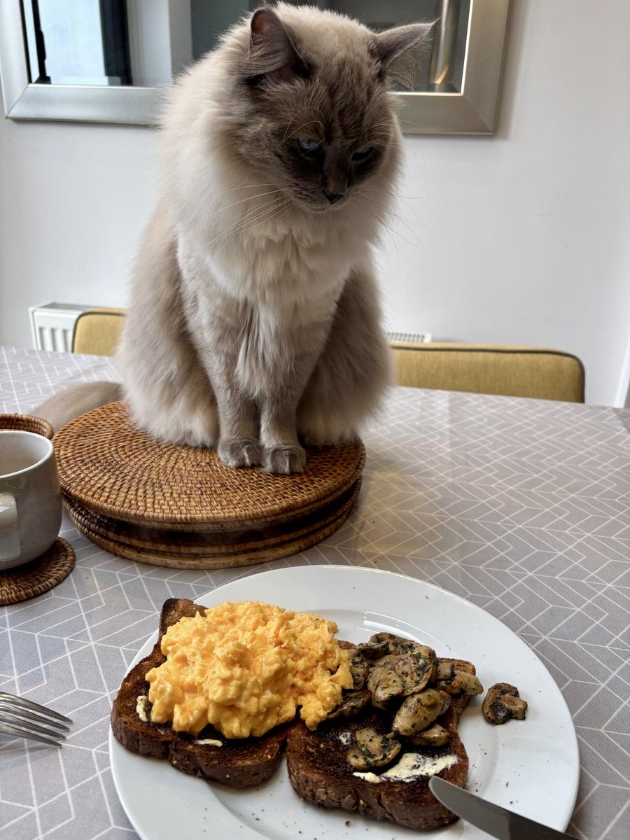 copy by kay tweet media