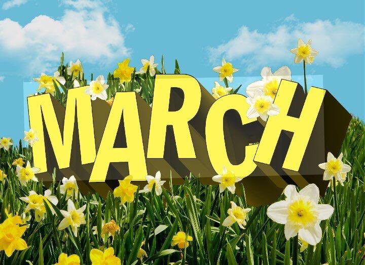 Rose8yd's tweet image. Welcome to March 2026! 🌸  
New month, fresh energy, longer days and spring vibes incoming ☀️  
Wishing you beautiful moments, small wins that add up, good health and kind people everywhere you go 💛

Happy March everyone! 

#March2026 #HelloMarch #SpringVibes #NewMonthNewGoals