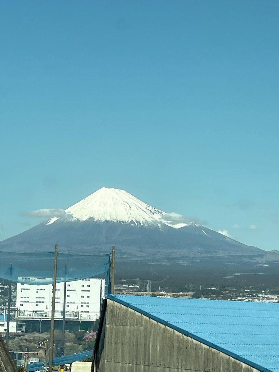 でめ🫥 tweet media