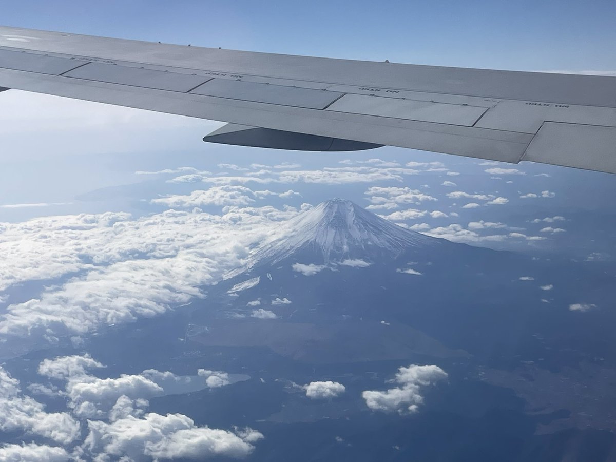 でめ🫥 tweet media