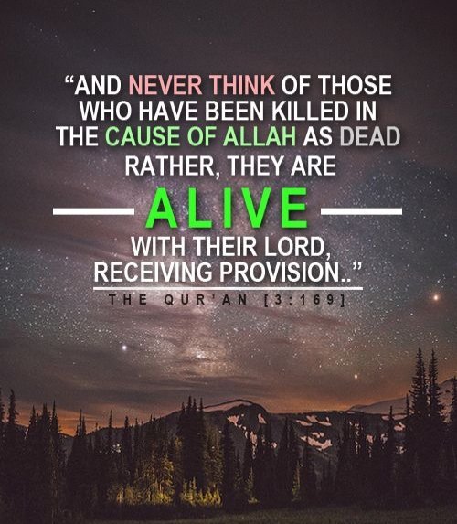 <a href="/khamenei_ir/">Khamenei.ir</a> Quran Declares:
Think not of those slain in the way of Allah as dead.  Indeed they are living, and with their Lord they have their sustenance, rejoicing in what Allah has bestowed upon them out of His bounty,  jubilant that neither fear nor grief shall come upon the believers