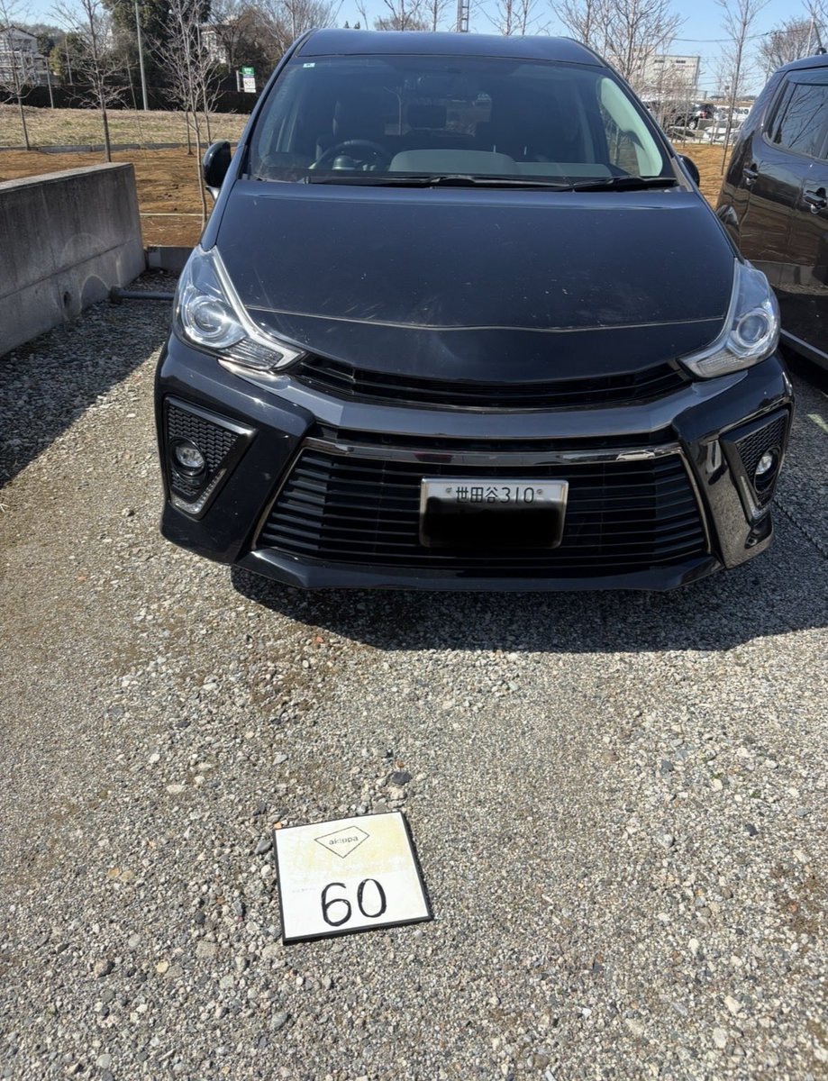 きよみ＆モモ tweet media