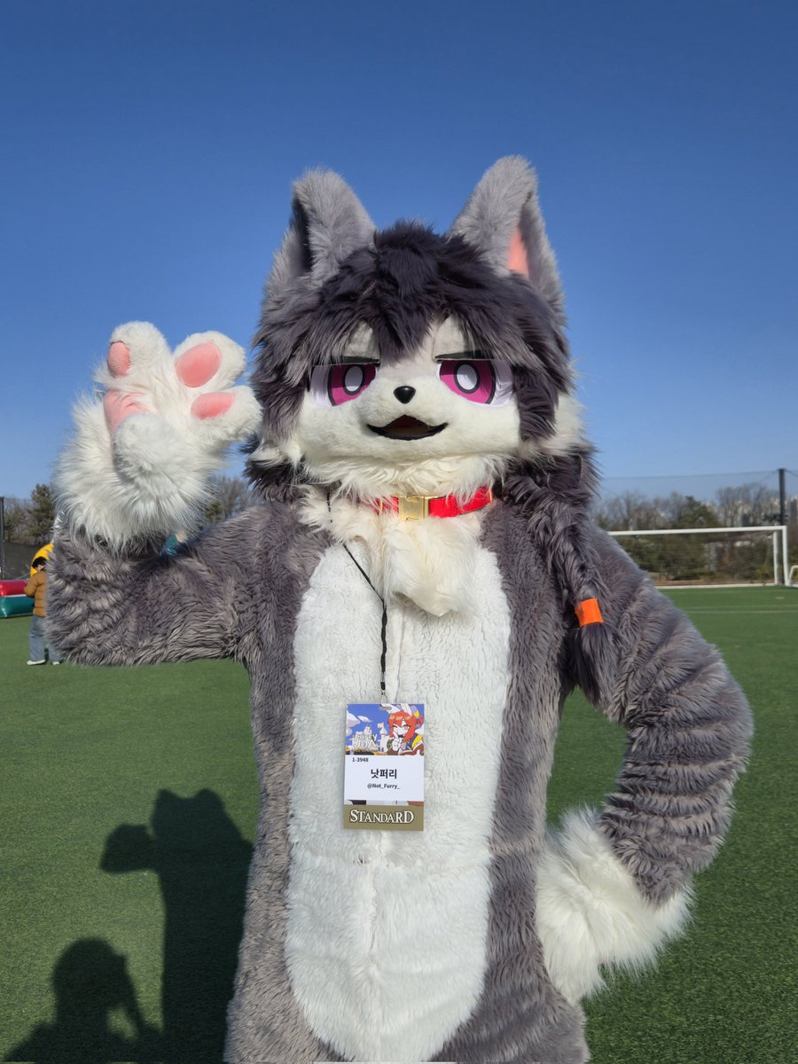 호산달 tweet media