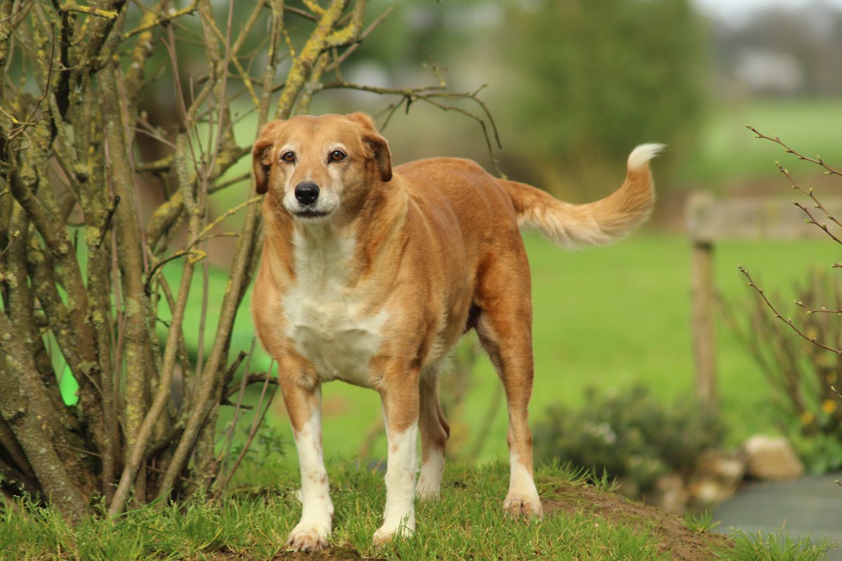 F4ICI🐀🐷 tweet media