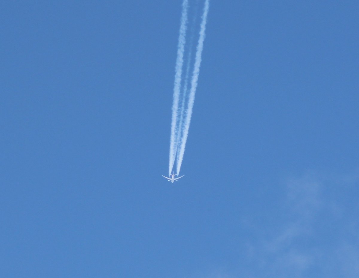 F4ICI🐀🐷 tweet media