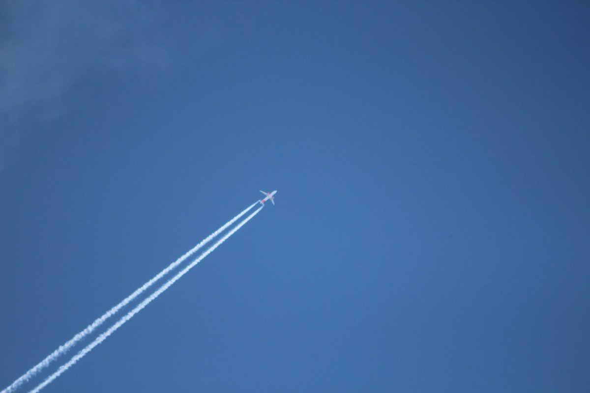 F4ICI🐀🐷 tweet media