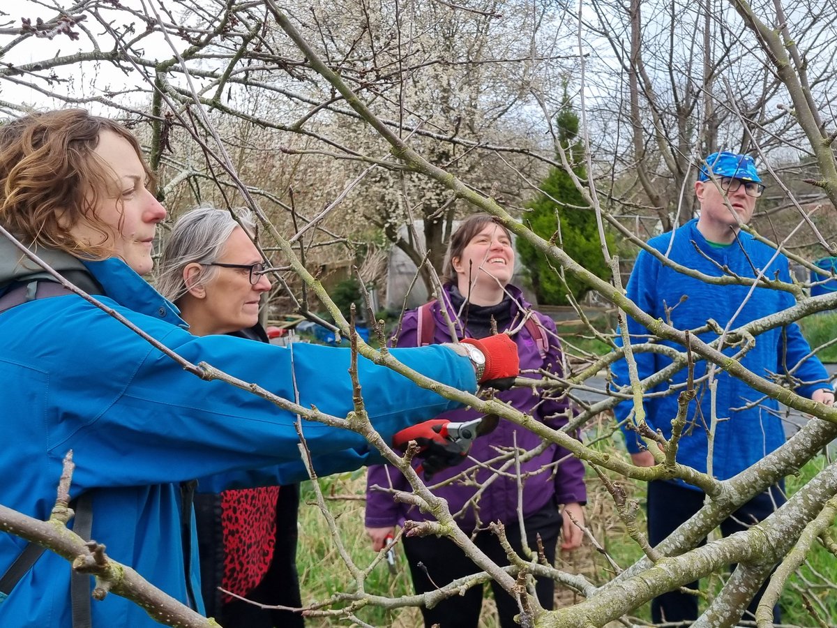 fruitnutvillage's tweet image. We've completed our triple orchard #WinterPruning workshop at #HazelwellFarmAllotments #Stirchley. The rain kept at bay.
Thank you for the visit #KamelHawash