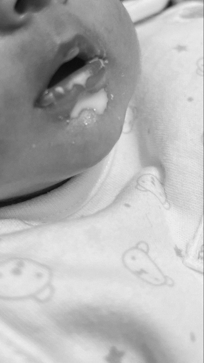 BASMARA. tweet media