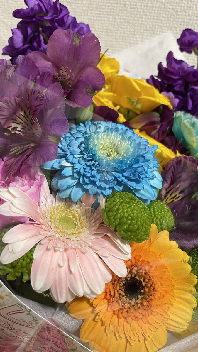 T.Shinozawa tweet media