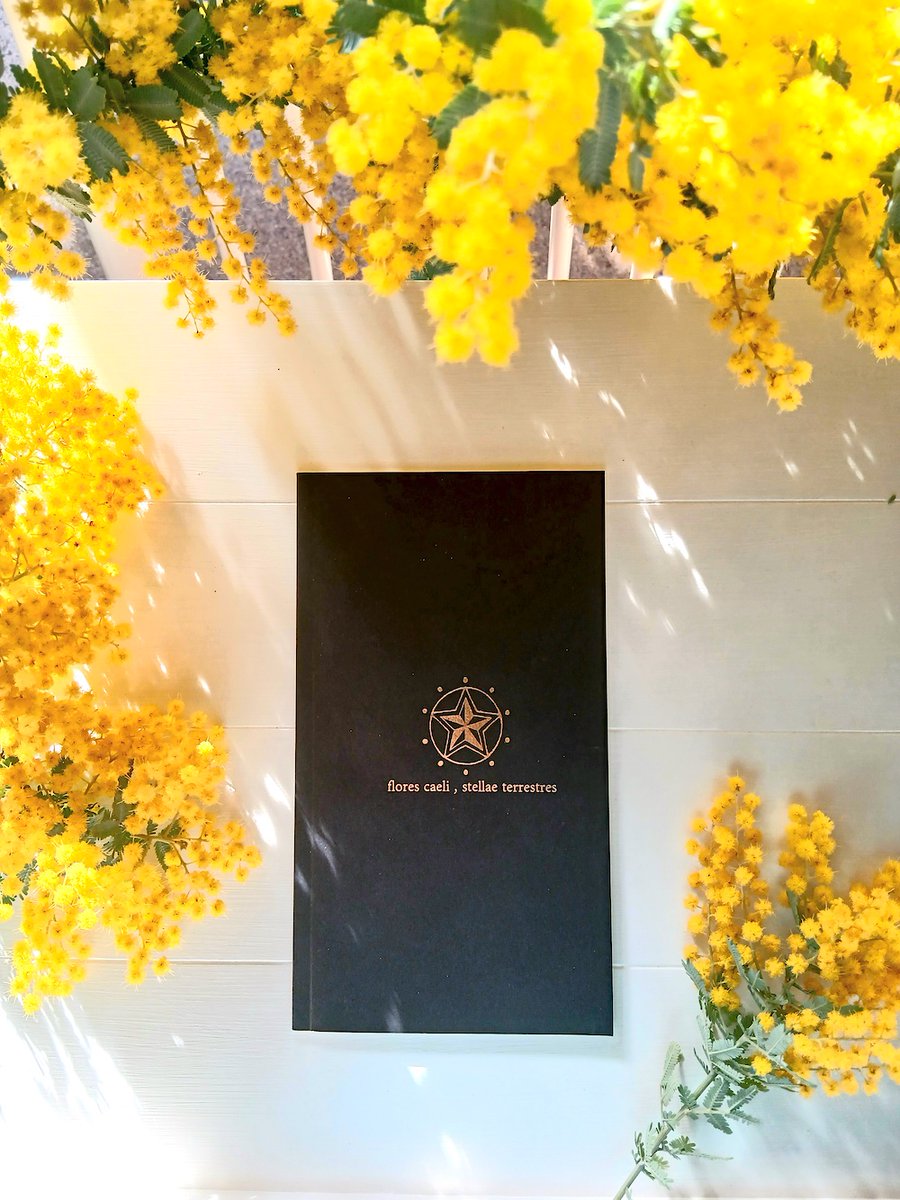 _futagonohoshi_'s tweet photo. ［🌼3月✨営業日✨🌼］

🌟金・土・日🌟10時〜18時✨✨🌟

✨✨✨天の花 地の星✨✨✨🌟
✨lores caeli,stellae terrestres✨✨🌟
✨津木野由芽(著) harumie(絵)✨✨✨🌟

✨郵送も��能です♪お気軽に問合せ下さい✨✨🌟

🌟 #津木野由芽 #harumie
🌟 #双子の星  #ミモザ #mimosa #感謝 https://t.co/lJOuyWeqCR
