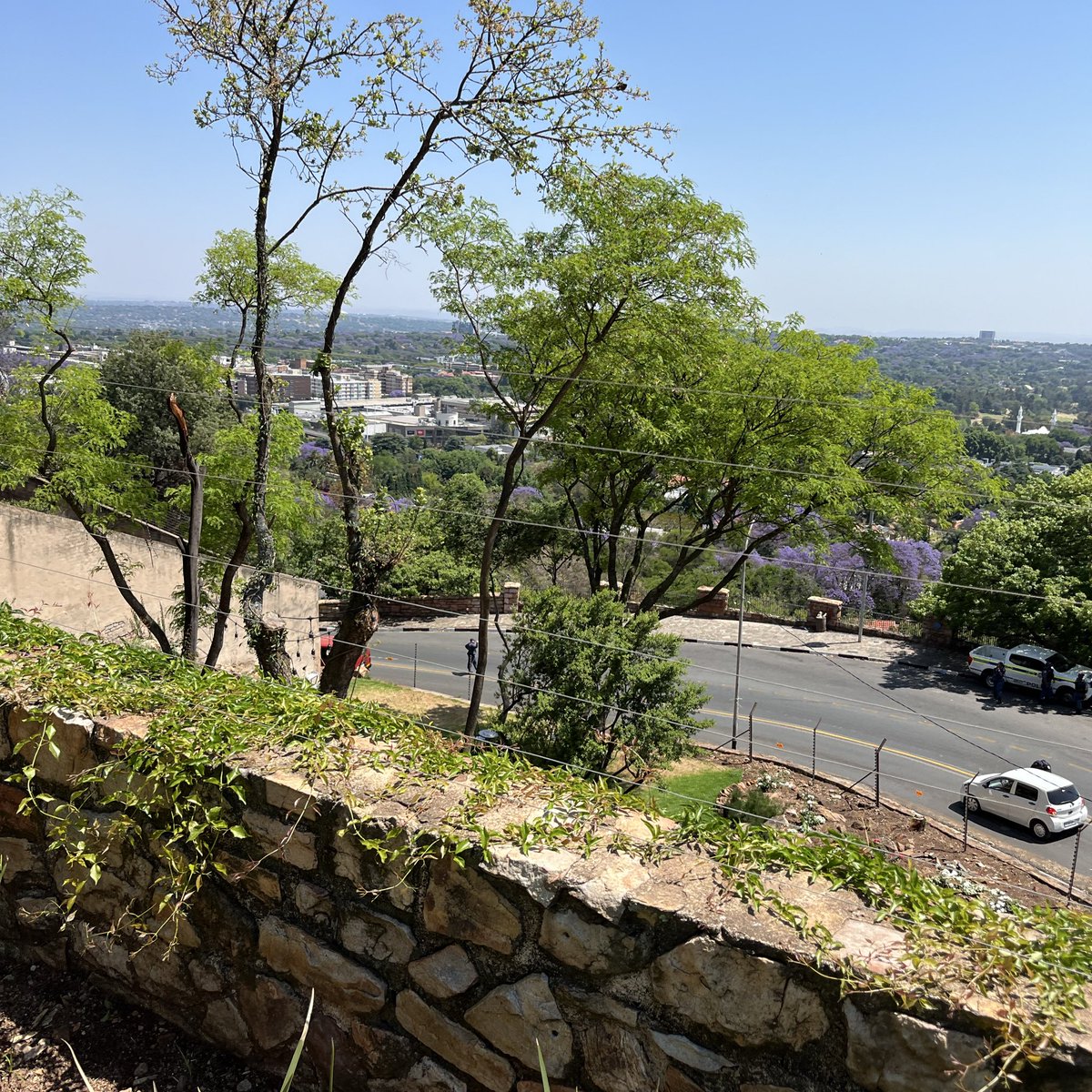 SabzerAzoh's tweet photo. Houghton carries the frequency of gold that was never taken, it was preserved:

The Witwatersrand plateau forms a continental divide rainfall to the north drains into the Indian Ocean via the Crocodile and Limpopo rivers, while the south drains into the Atlantic via the Vaal… https://t.co/S2KhlfbMTG