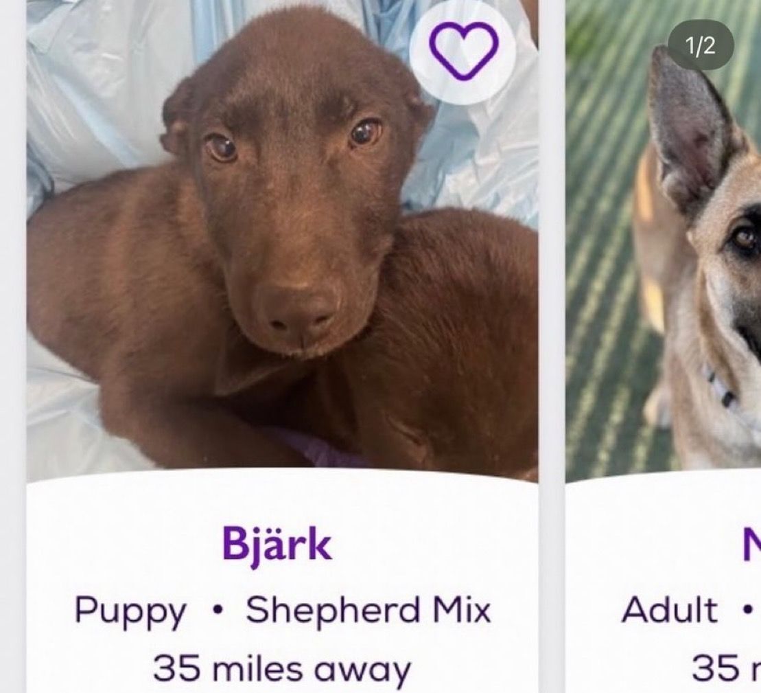 no context memes (@weirddalle) on Twitter photo 