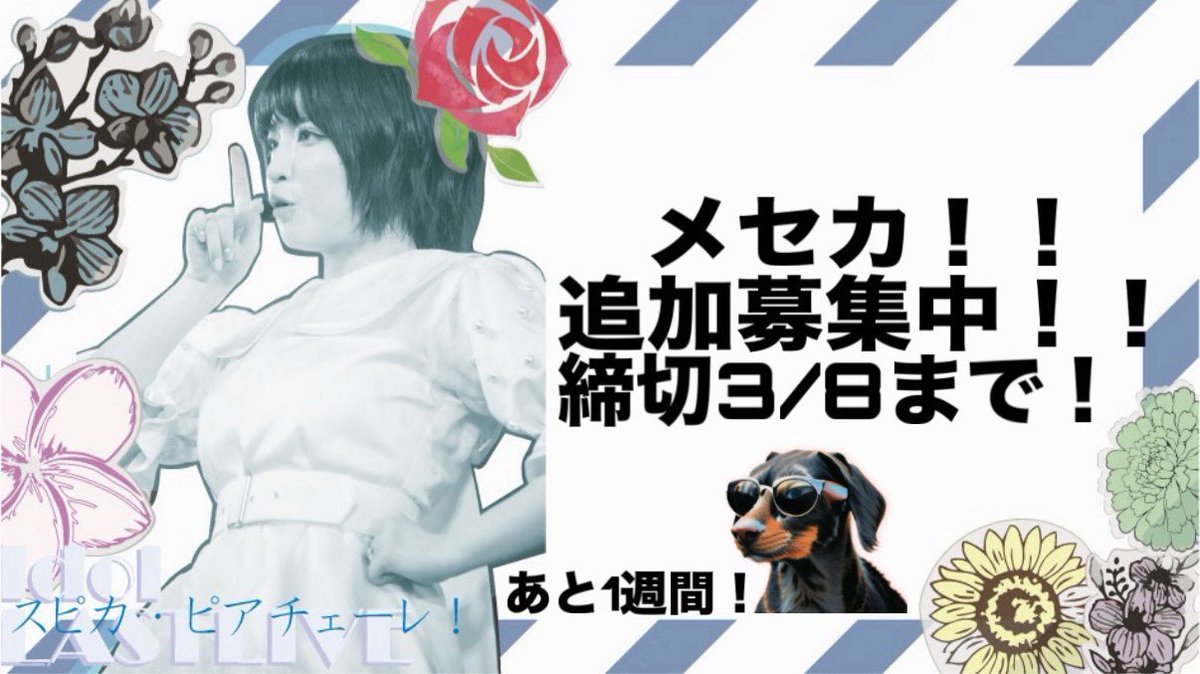 【⚠️緊急‼️追加募集開始‼️⚠️】

2/28で締め切らせて貰った、
根本凪さんへのバースデーメッセージですが‼️

今から1週間限定で追加募集をさせて頂きます‼️

忙しくて書きそびれた方も、まだ間に合います‼️
以下フォームから、是非ご応募ください❣️
docs.google.com/forms/d/e/1FAI…