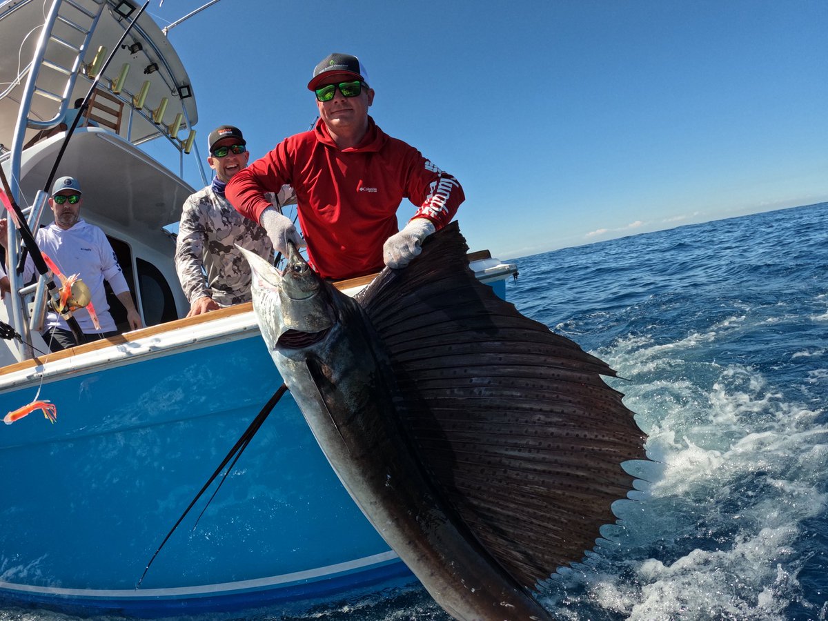 Fish_In_Chatham's tweet photo. #Guatemala #sailfish just a few pics from a recent adventure https://t.co/Ew3hCWHfbs