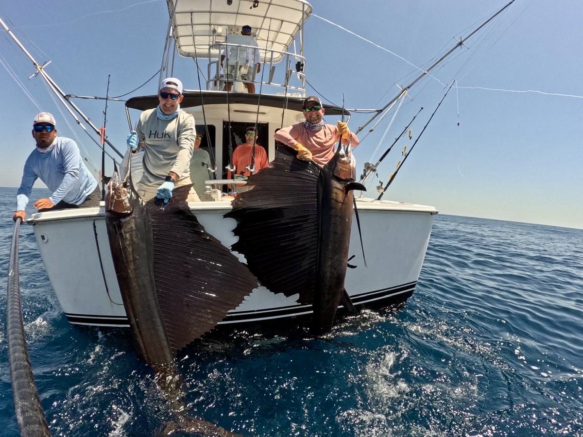 Fish_In_Chatham's tweet photo. #Guatemala #sailfish just a few pics from a recent adventure https://t.co/Ew3hCWHfbs