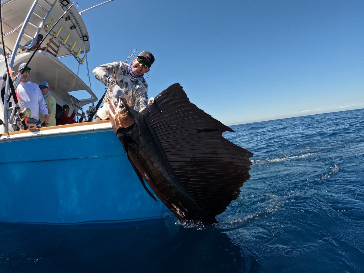 Fish_In_Chatham's tweet photo. #Guatemala #sailfish just a few pics from a recent adventure https://t.co/Ew3hCWHfbs