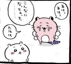 @Amemanpo 