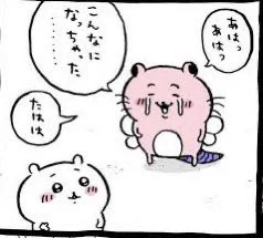 @Amemanpo 