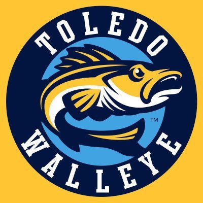 djonestraining's tweet photo. It's always great to see the youth hockey players/teams at the Walleye games. This is the Sylvania North Stars U12 travel team. Their energy is awesome! EAO trains all of the Sylvania North Stars travel teams. We absolutely love working with the kids! #FIREINTHEHOLE! https://t.co/WxszXY9yX9