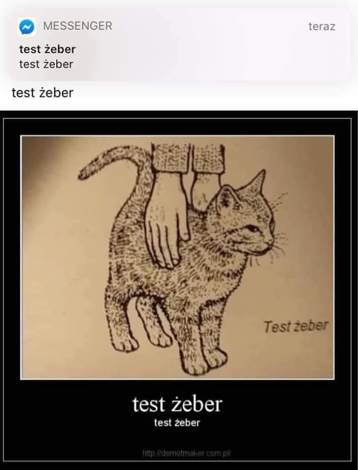 Bosman🚢 tweet media