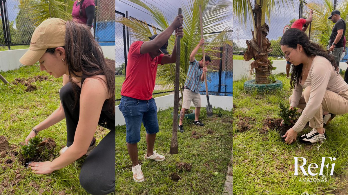 ReFiAmazonas tweet media