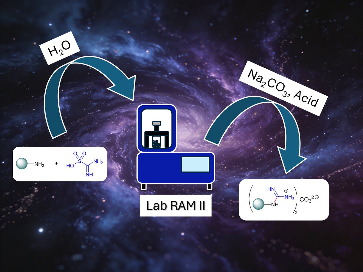 AndreaPorcheddu tweet media