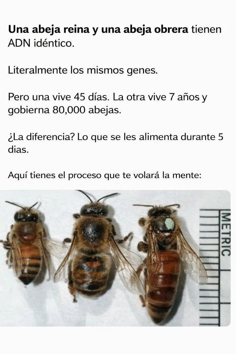 Jeferson Nasa tweet media