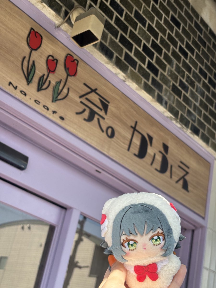 pito_iroiro's tweet photo. 光盛れしてるてま https://t.co/ZEPX50kWb9