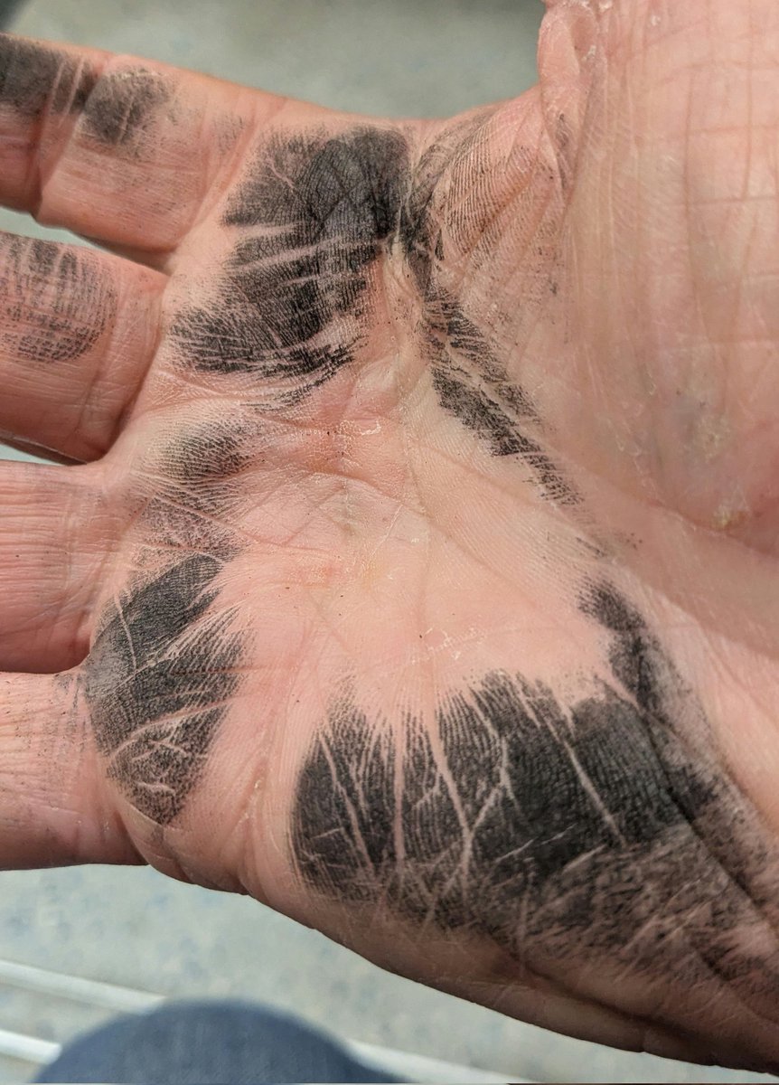 Julian Pardoe tweet media