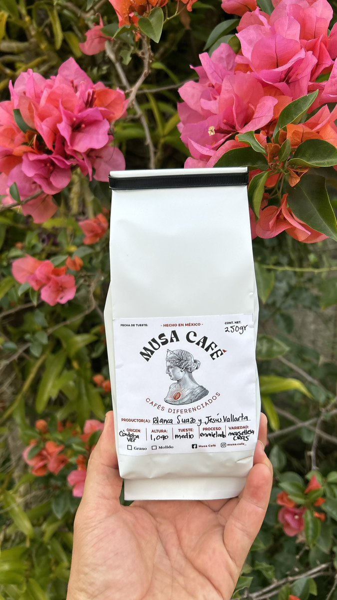 Jacinto Vallarta tweet media