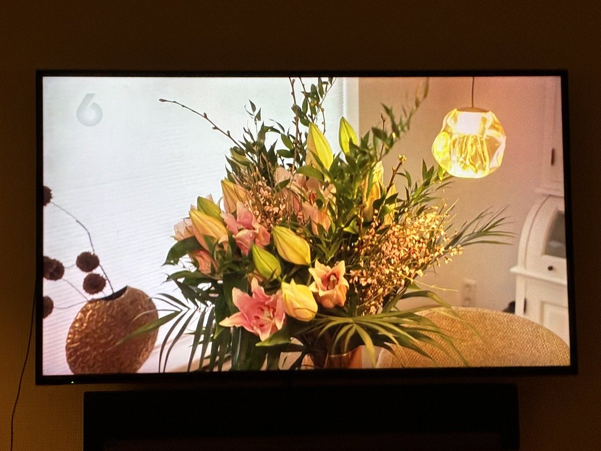 Gisteren waren in #DeGroteTuinverbouwing op #SBS6 mooie boeketten met #lelies te zien. Presentatrice &amp; styliste #DjamillaPijpker maakte met dit vrolijke boeket de nieuw ingerichte woonkamer helemaal af 🤩

Gemist? Je kunt het terugkijken via kijk.nl/programmas/de-…