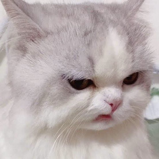 หึ่ย ๆๆๆ ป่อยจั๊นน้า อย่าให้จั๊นหลุดไปได้!