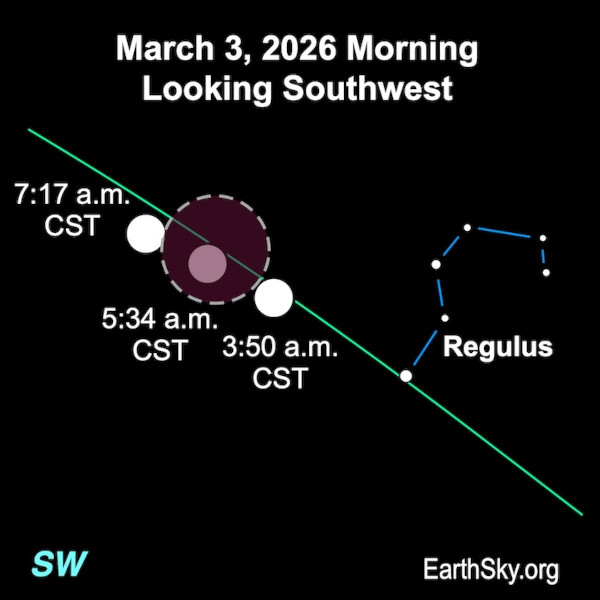 Granny Moon tweet media