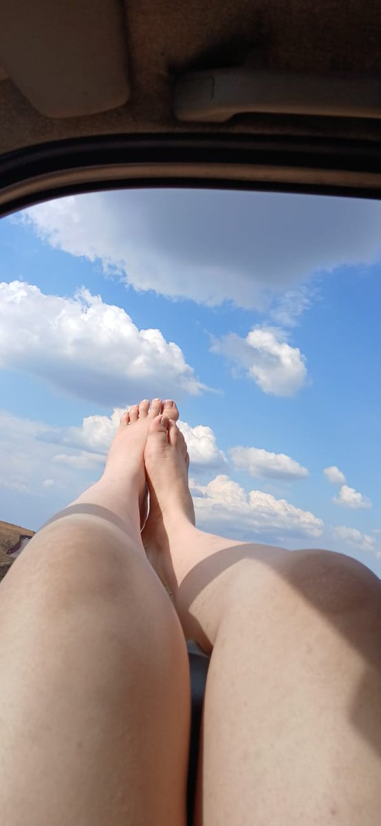CasalTsBi's tweet photo. #Shemale #feet #soles #toes #tickle #tickling #sleepyfeet #sissy #sissycaption #sissycaptions #crossdresser #transgender #transgirl #feminization #chudai https://t.co/PCdOV8KWVG