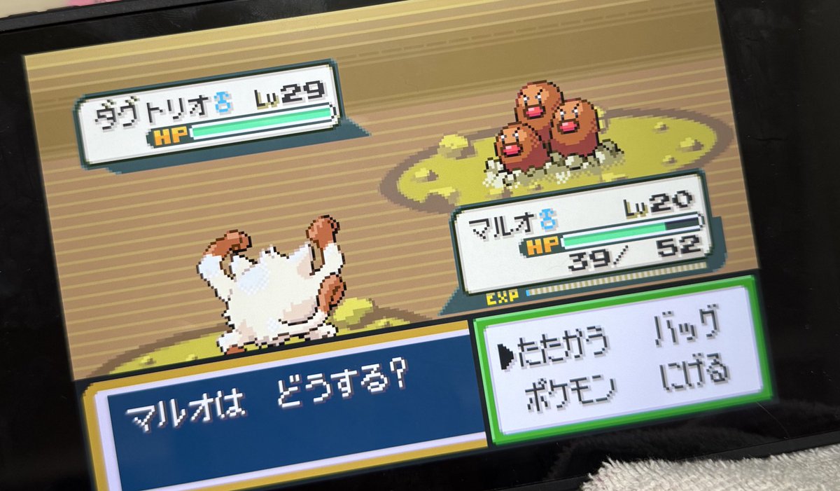 mu_mintani's tweet photo. カスミに勝てなさすぎて先にクチバシティ横のディグダの穴でレベル上げしよーっと思ったらレベル29のダグトリオでてきてヒェッとなってさっさと逃げよと思ったら特性ありじごくで逃げられなくて冷や汗ヤバかった😭初代色んなところでトラップがあって怖すぎるな🤔？ #FRLG https://t.co/nS9jZndbyh