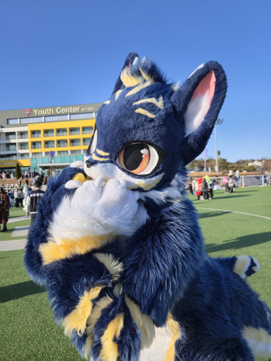 호산달 tweet media