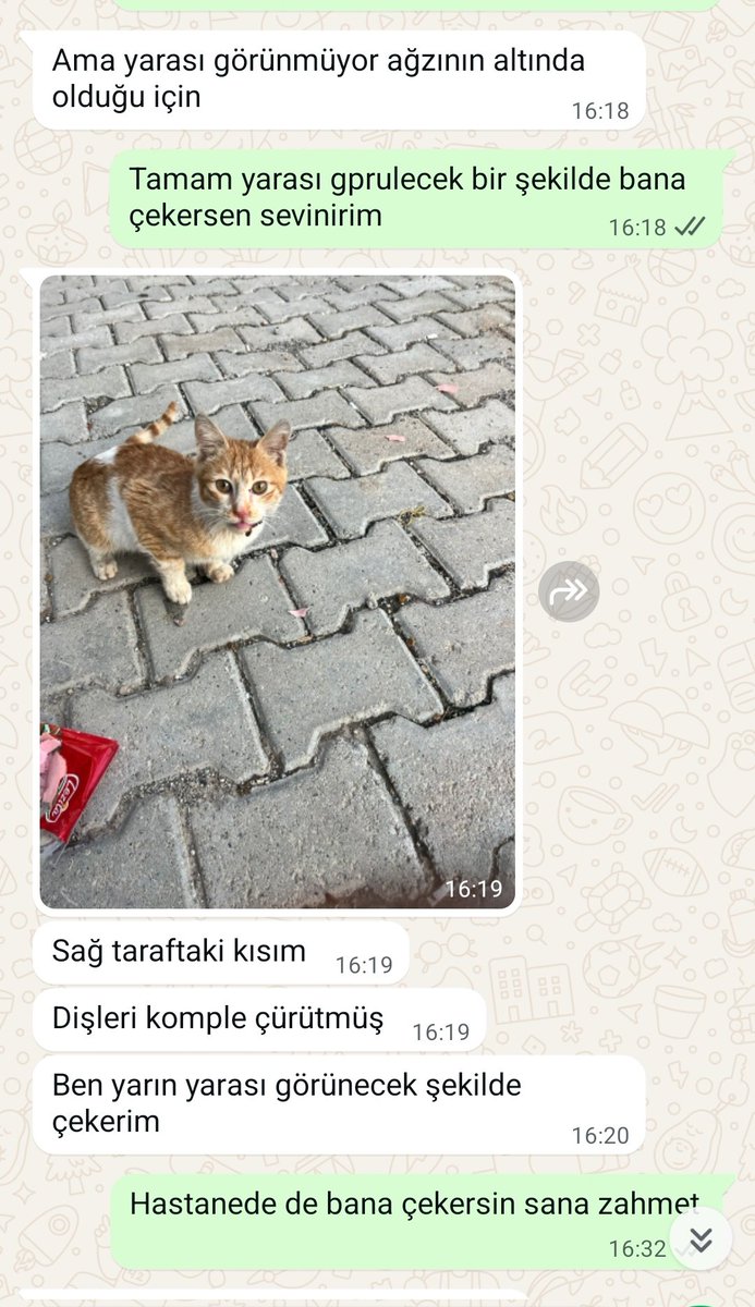 Yarın tedaviye alıyoruz lütfen yardımcı olabilir misiniz odemesi yapmam gerekiyor 🥹 eski ödememiz de var ödeme yapmasam barınak gider