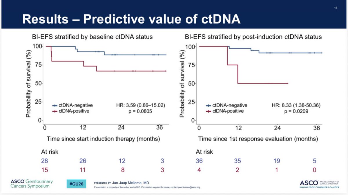 Tom Powles tweet media