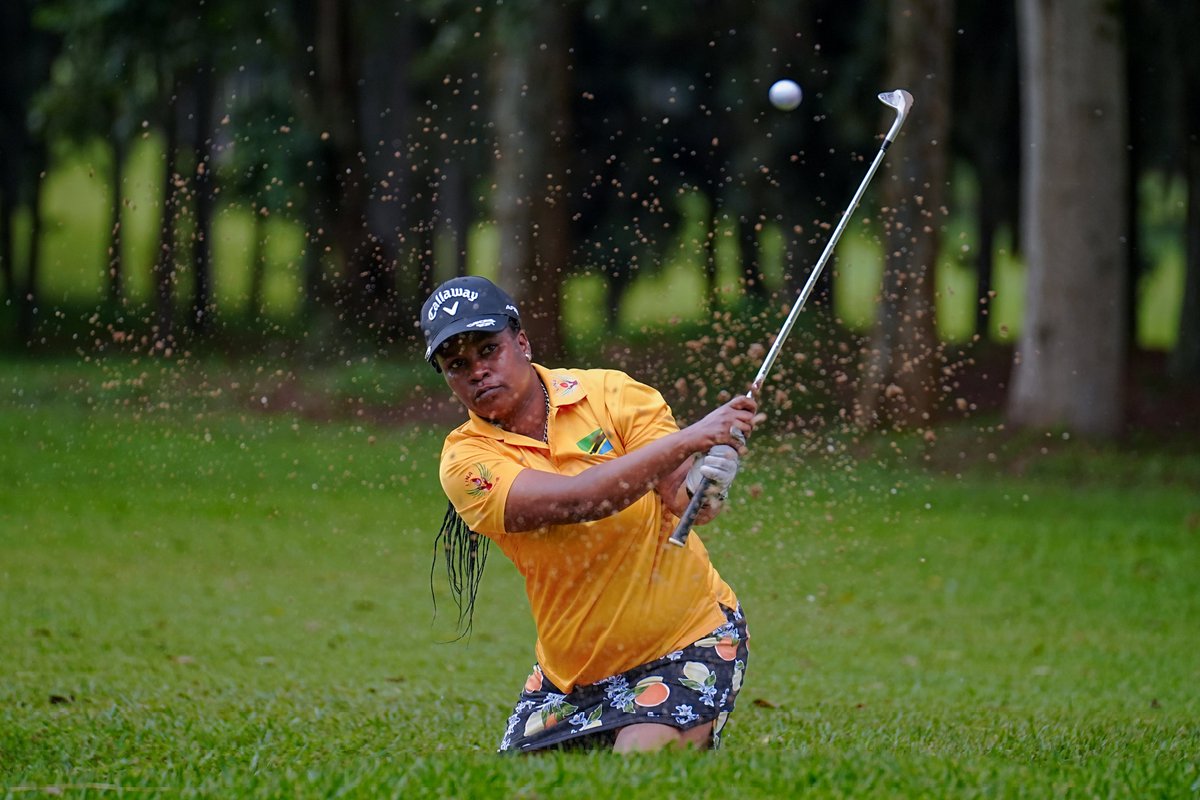 Under Par tweet media