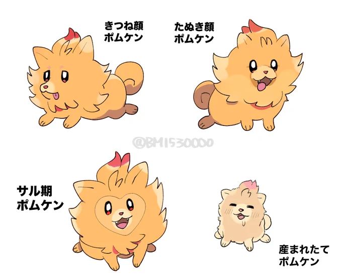 ポムケン 