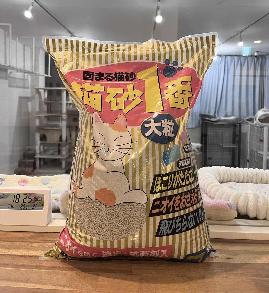 桜木町】 まとめてのお礼で失礼します🙇‍♀️ 猫砂やフード等の