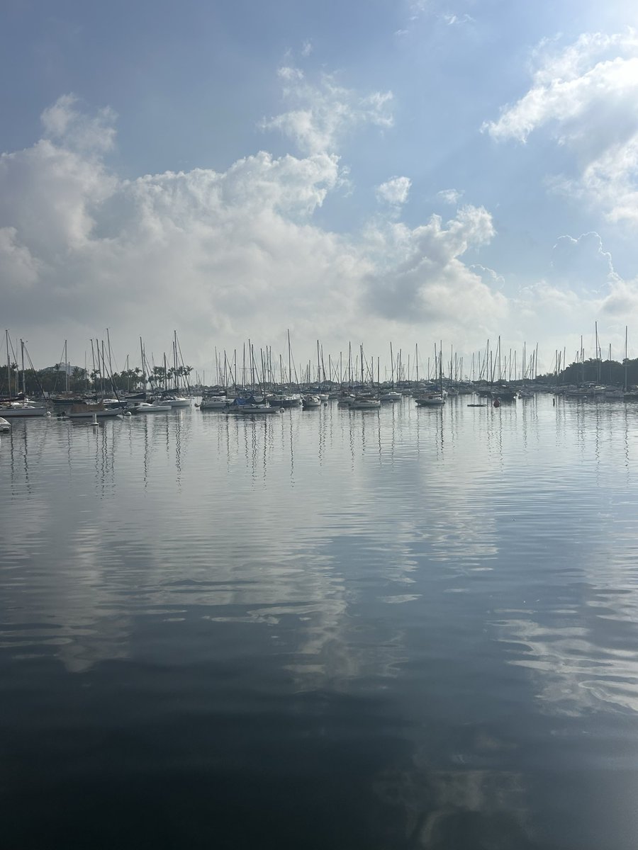 Jesse Marks tweet media