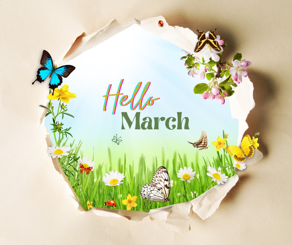 PoisedPenPro's tweet photo. Hello March! https://t.co/RSj8MnTiiN
