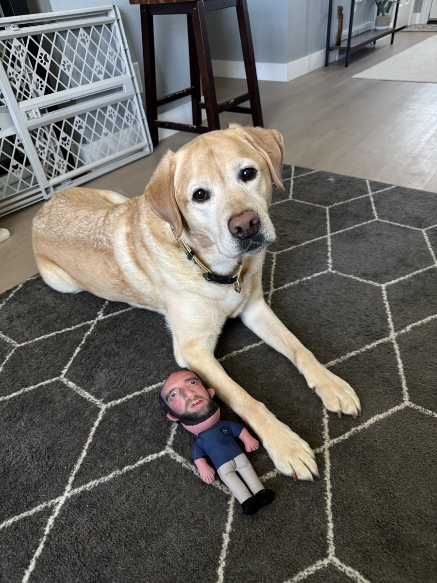 collinc322's tweet photo. @hen_ease https://t.co/rnVwcZeggD
