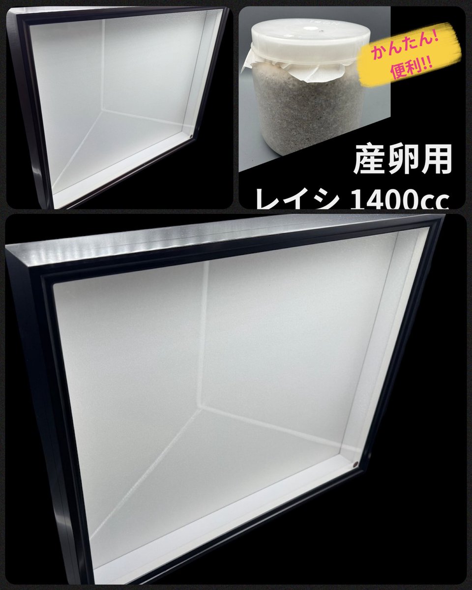 入荷のご案内】 人気の標本箱が入荷しました！ お待たせしました