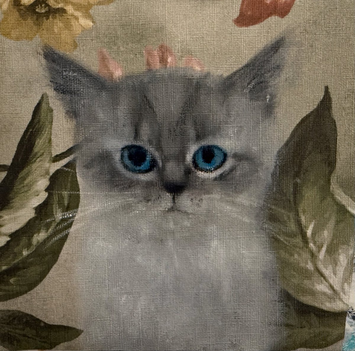 Sarah Evans tweet media