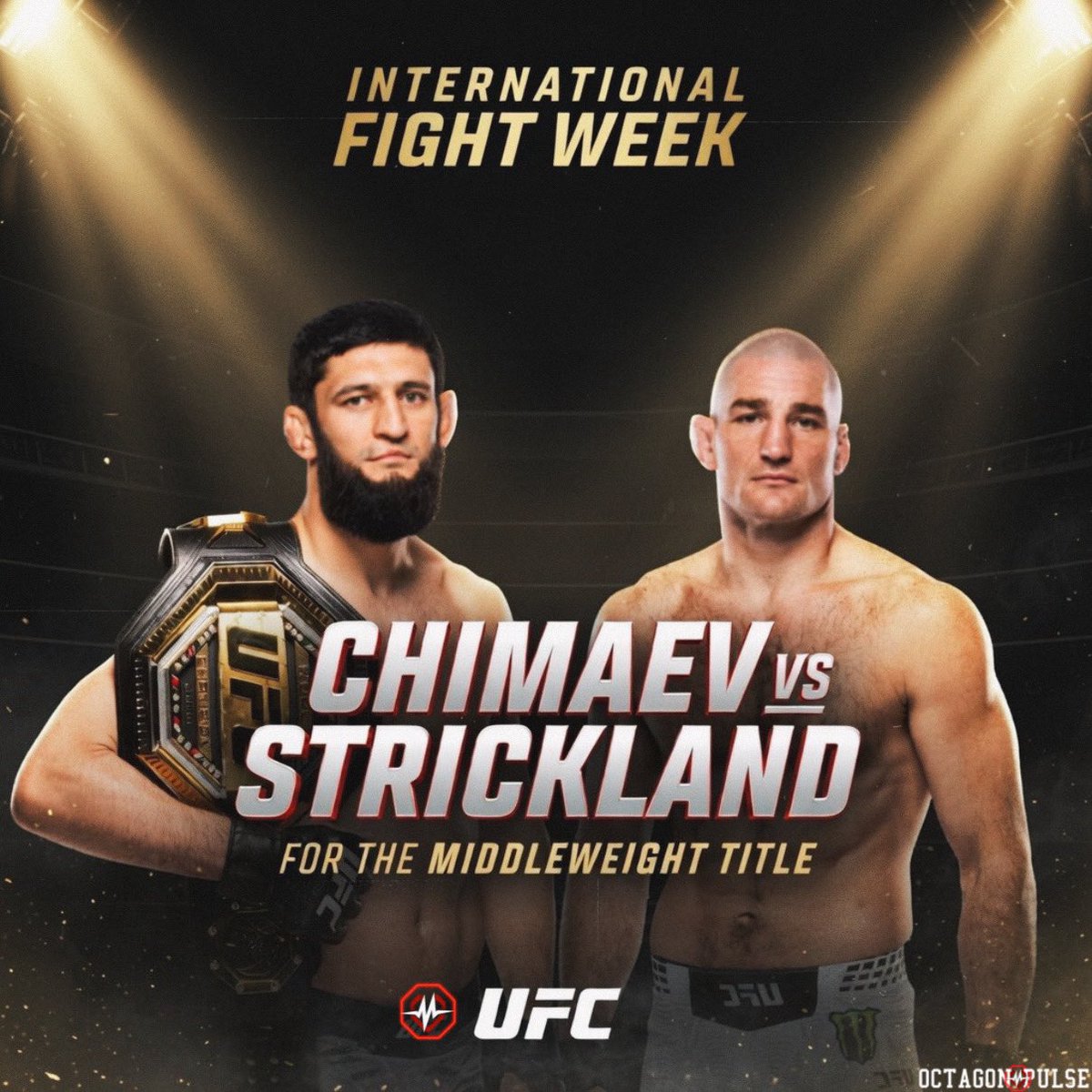 Octagon Pulse | UFC MEDIA🚨 tweet media