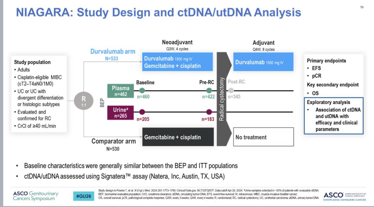 Tom Powles tweet media